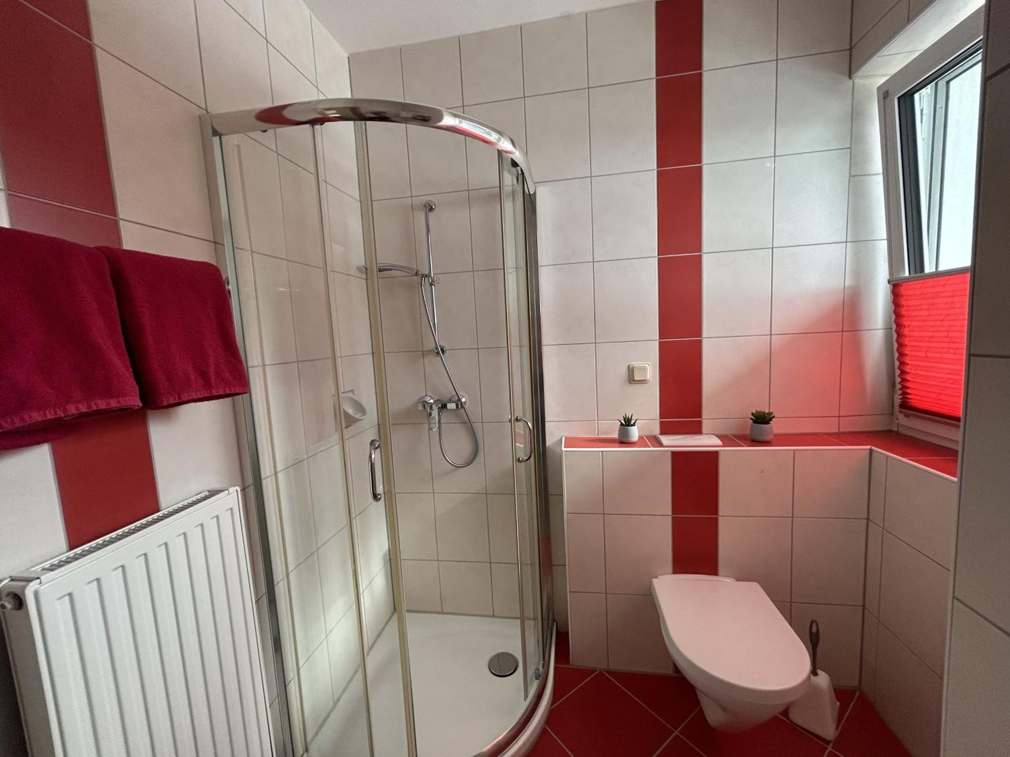 Haus Alpina Ski In & Ski Out Schladming Exterior photo