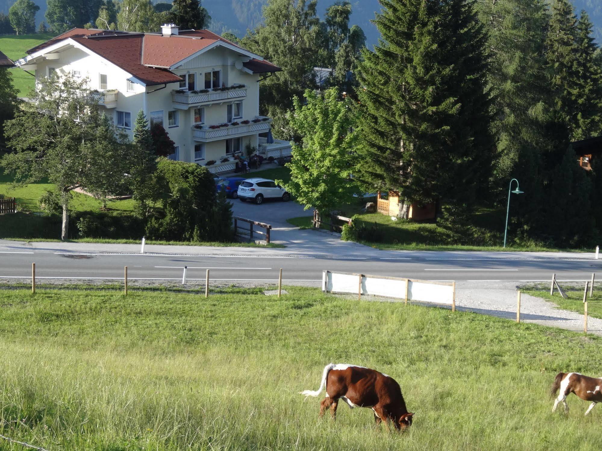 Haus Alpina Ski In & Ski Out Schladming Exterior photo